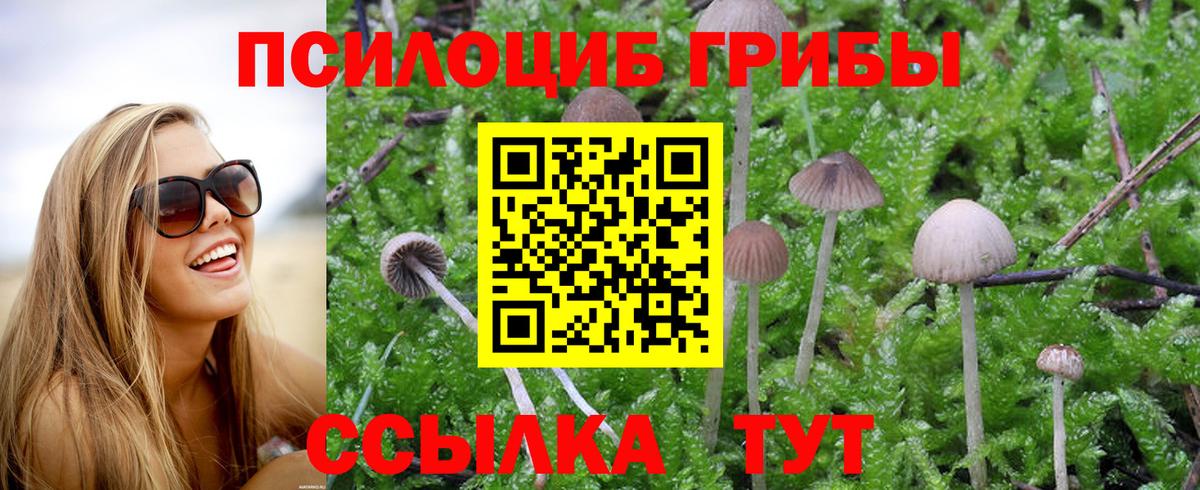 Псилоцибиновые грибы прущие грибы  Вход с VPN  Химки 