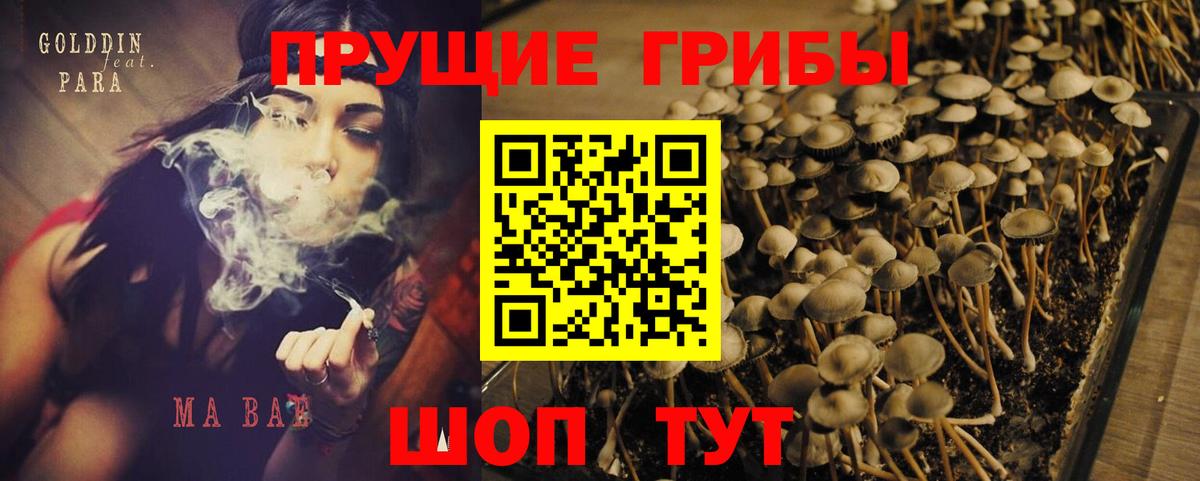Галлюциногенные грибы MAGIC MUSHROOMS Химки